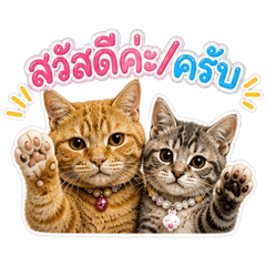 Mz_20260505102137