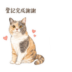水彩內內奶油
