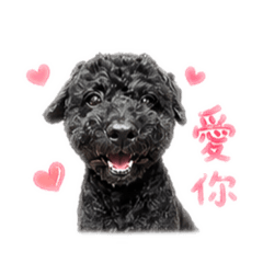 狗狗勾勾勾-2