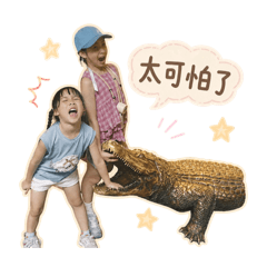 Q花小姊妹