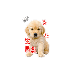 傑 估