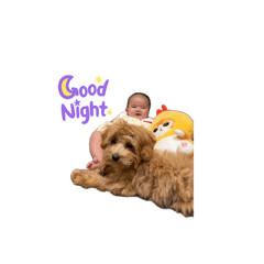 迷妮姐妹