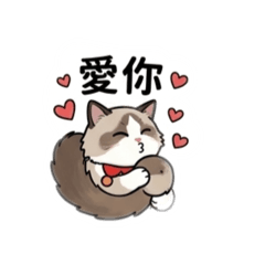 左左的很皮