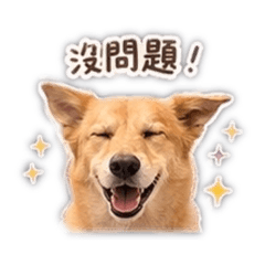YuNi小狗