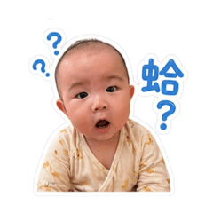 苦瓜寶寶1.0
