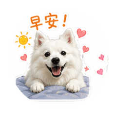 狐狸犬Ellie的日常生活用語