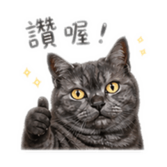 鬧事的綺夢