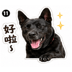 調皮黑弟弟