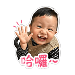 Jin Chen宸