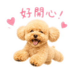 王家Ruby狗