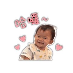大寶洋洋