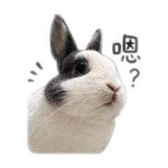 西北麻糬燒