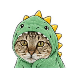 黃小斑