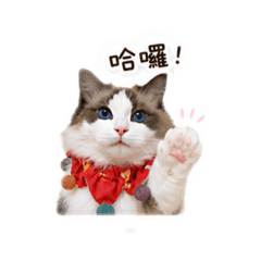 可愛左左