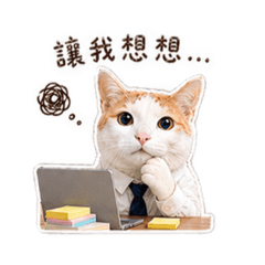 一隻叫「木木」的白底橘貓-上班篇