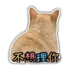 荳哥哥彩色字