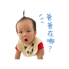 晨瑞日常