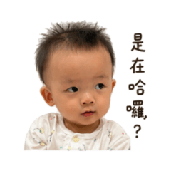 Bennyの日常2
