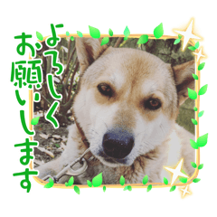 mu&kapu_20260430125416