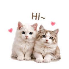 嚕咪&嚕卡