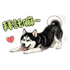 金寶早安圖