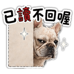 法鬥花吉兄弟表情包