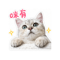 鼻鼻啵啵