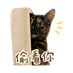 鼻毛(˶‾᷄ ⁻̫ ‾᷅˵)