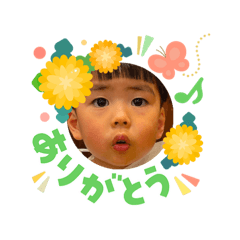 gfpapa_20260503154631