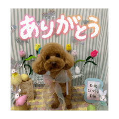 ike ikesea_20260503153738
