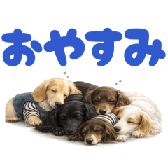 piropiro_20260503155212