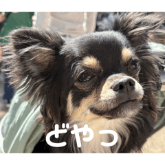 nishimu_20260503154538