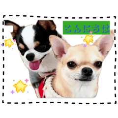 Shiny_20260503160932