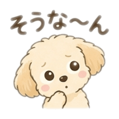 nankotsu_20260503161343