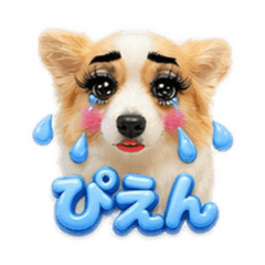 uyuchan_20260503161025