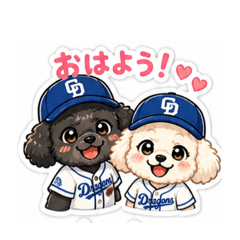 dogskydream_20260503161855