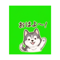 TOMARIKI - Daily Chat Stickers