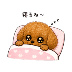 yumi_20260503162341
