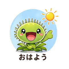 Shy Venus Flytrap Daily Chat