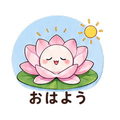 Sleepy Water Lily Daily Chat