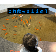 miyamotopapa_20260503162518