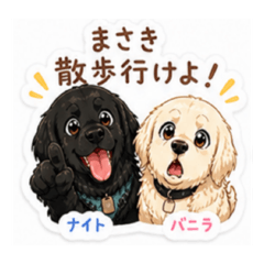 Hiroki0423_20260503162619