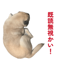 MAKO_20260503162209