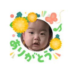 harapeko takachan_20260503163335