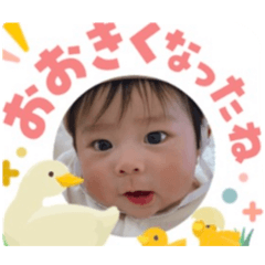 masa_20260503164858