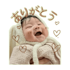 mippa_20260503164743