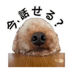 buuchan_20260503164809