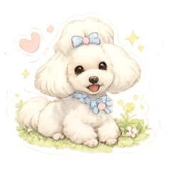 CoochanChannel_20260503160644