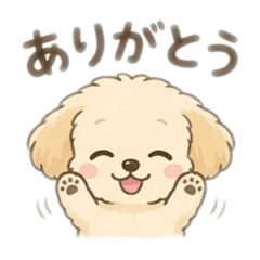 nankotsu_20260503161054