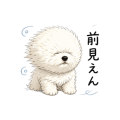 yumi_20260503170204